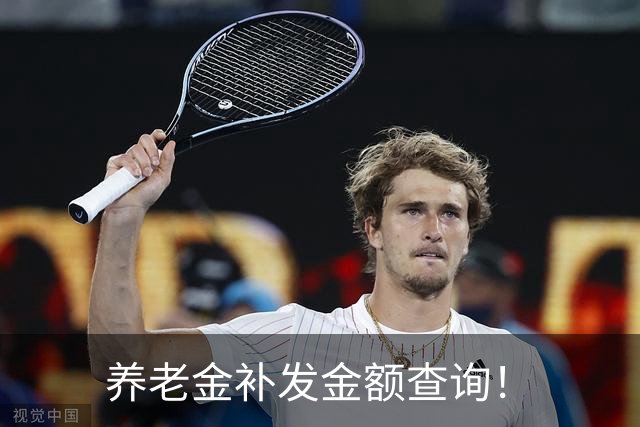 养老金补发金额查询！